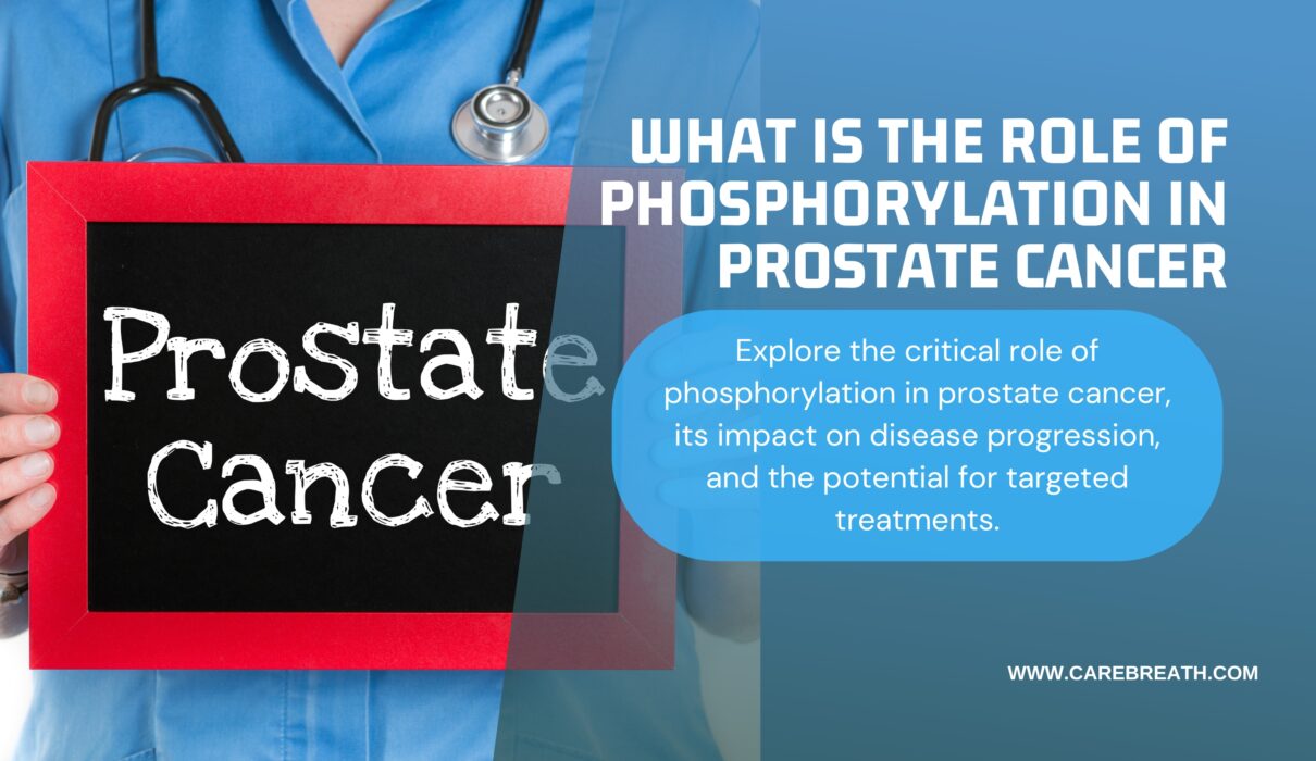 What is The Role Of Phosphorylation In Prostate Cancer