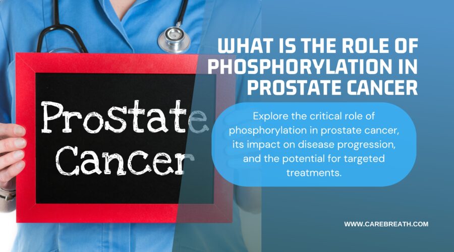 What is The Role Of Phosphorylation In Prostate Cancer