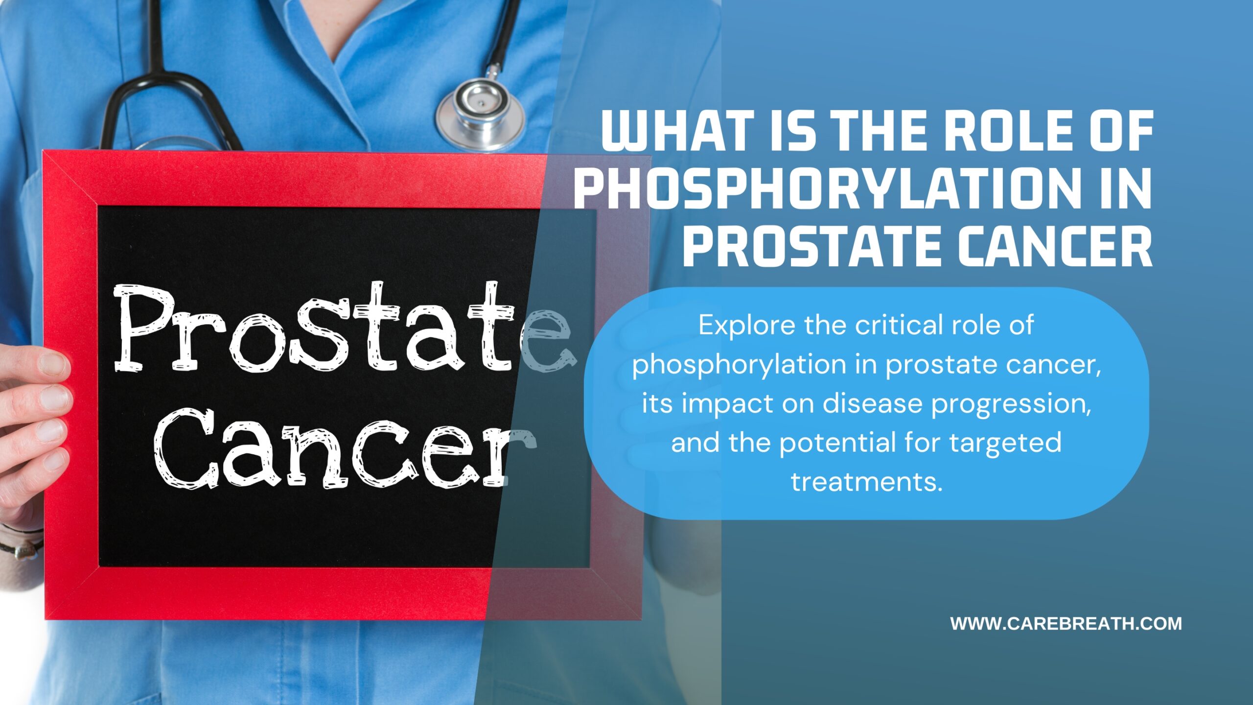 What is The Role Of Phosphorylation In Prostate Cancer