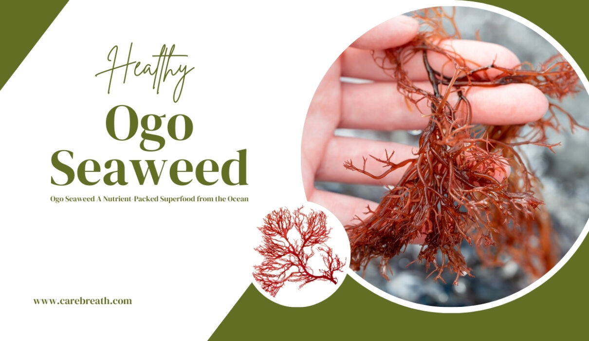 Ogo Seaweed A Nutrient-Packed Superfood from the Ocean