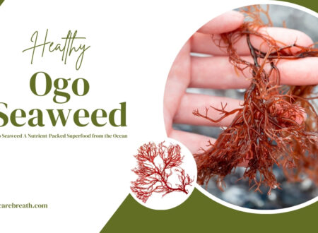 Ogo Seaweed A Nutrient-Packed Superfood from the Ocean