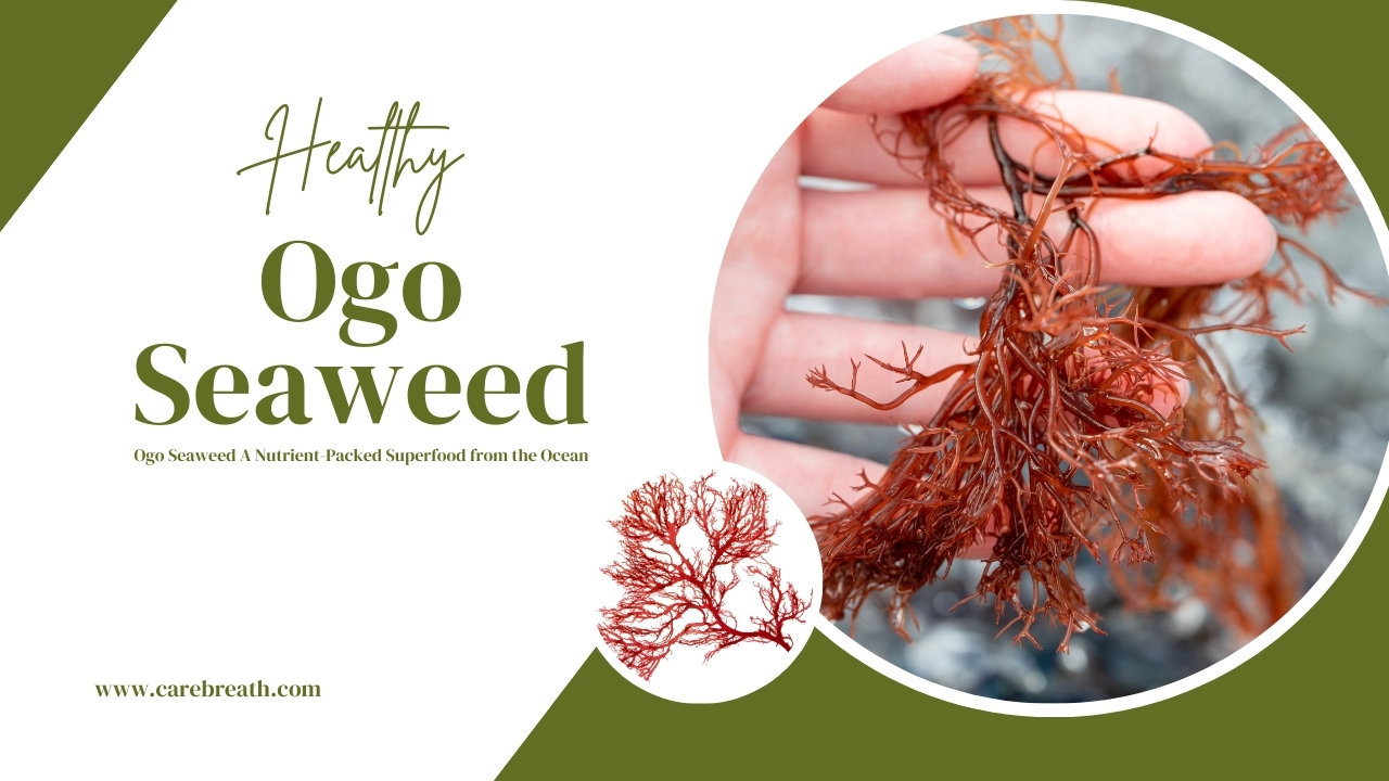 Ogo Seaweed A Nutrient-Packed Superfood from the Ocean