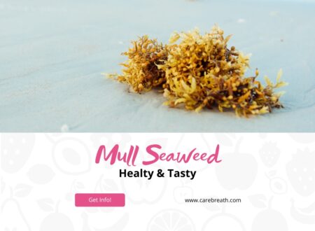 Mull Seaweed