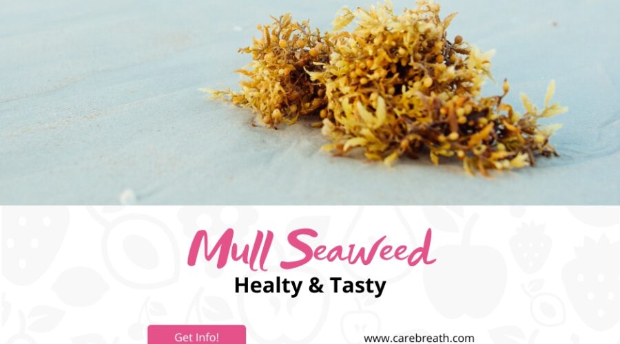 Mull Seaweed