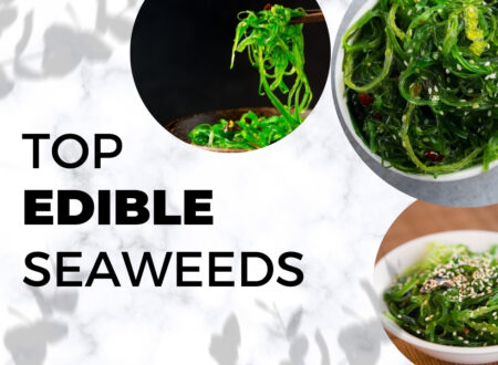 Top Edible Seaweeds