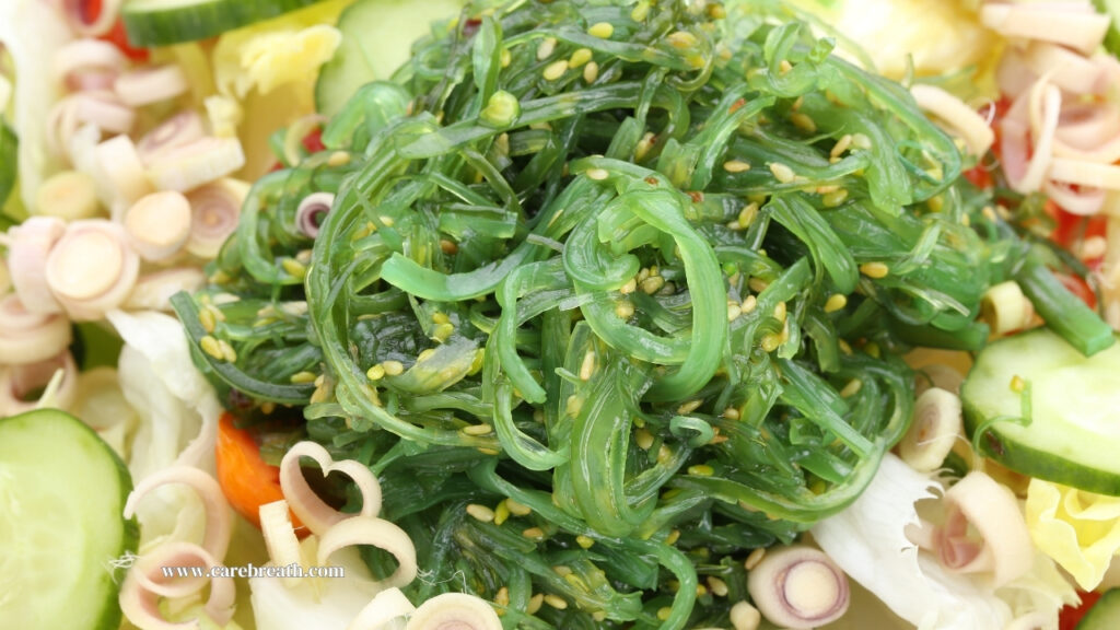 Edible Seaweeds