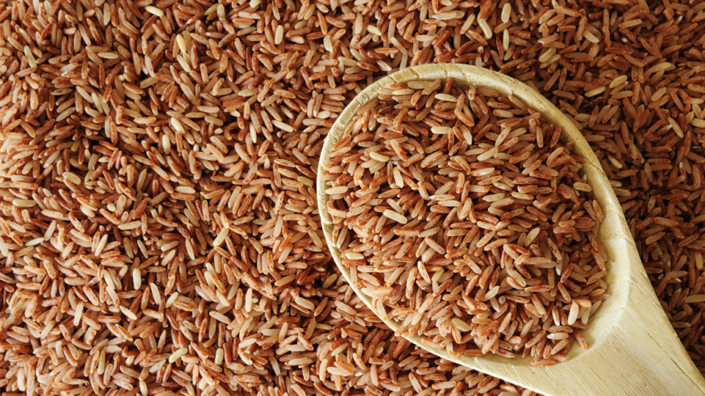 Fiber